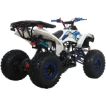 125c1-1-1.webp