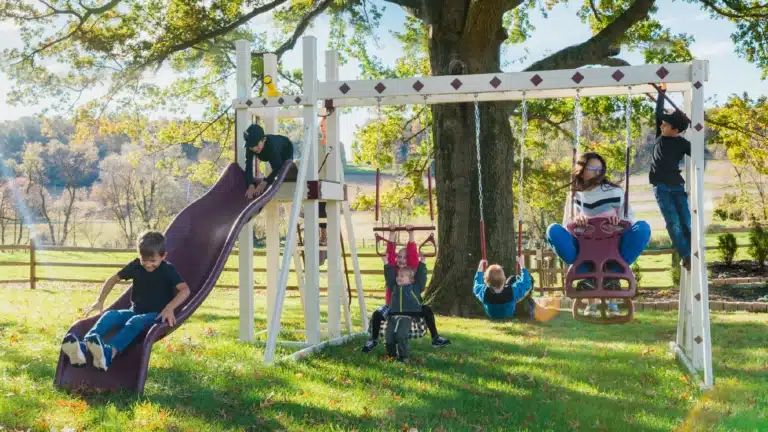 All-Swing-Sets_1.-Honey-Bear-Hangout-768x432-2.png
