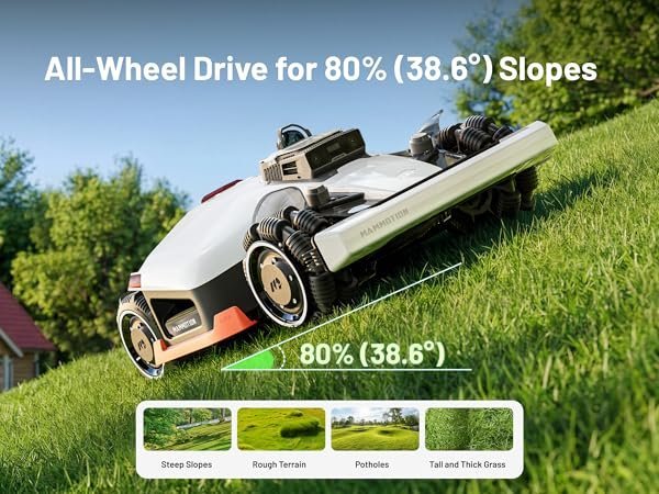 d270ddd8-19e6-40a8-8e47-7a5f81a126de.__CR0024001800_PT0_SX600_V1___.jpg