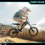 gor1.webp